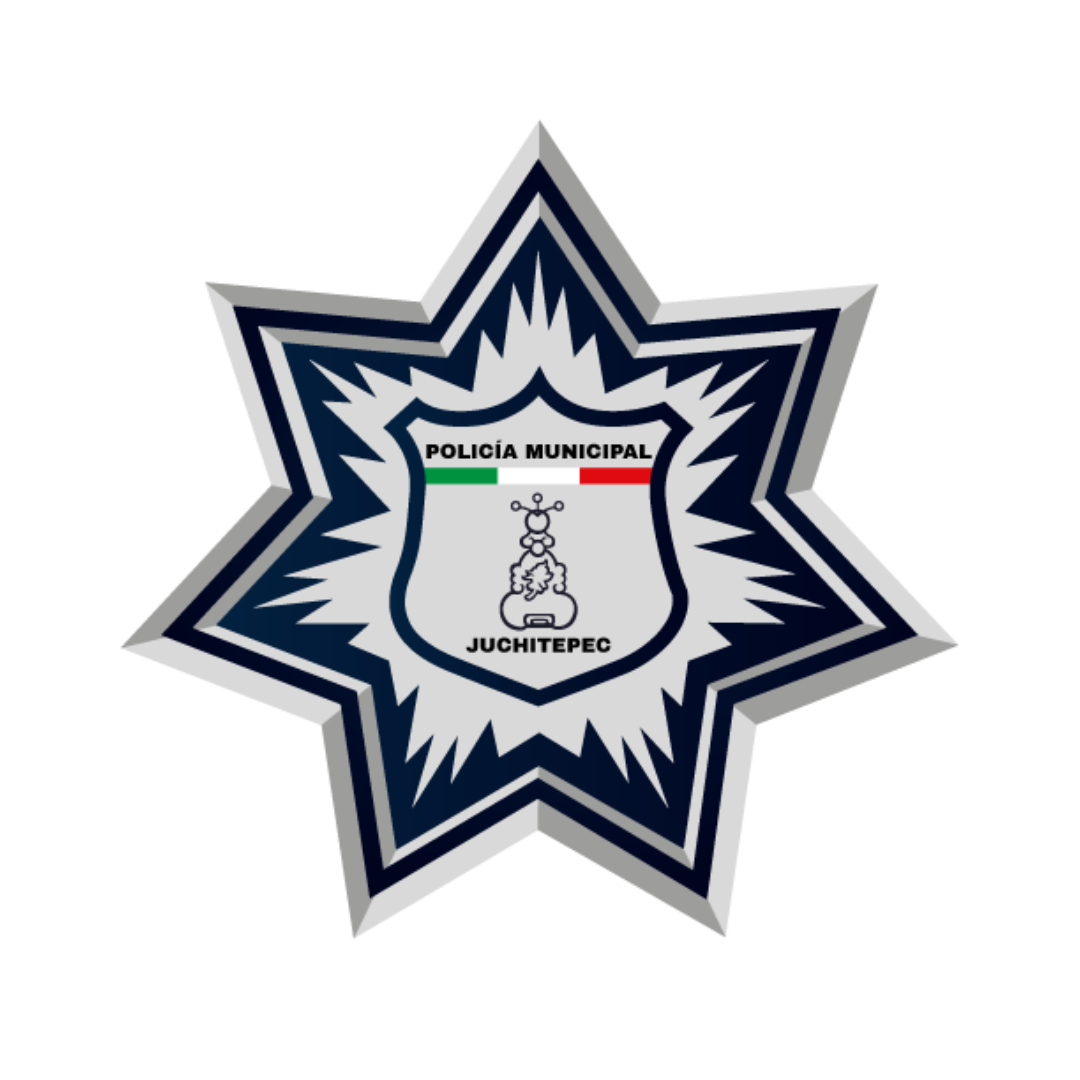 Logo Seguridad Pública